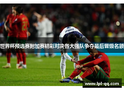 世界杯预选赛附加赛精彩对决各大强队争夺最后晋级名额