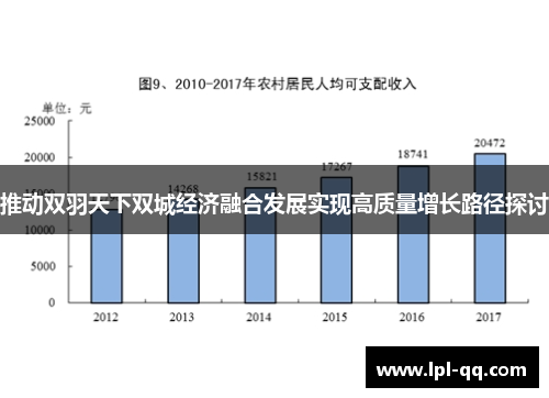 推动双羽天下双城经济融合发展实现高质量增长路径探讨