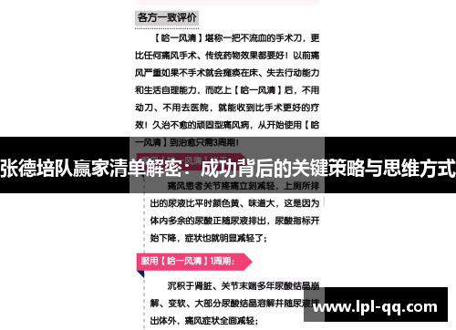 张德培队赢家清单解密：成功背后的关键策略与思维方式